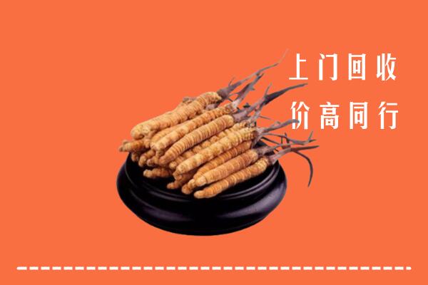 高价求购：东营市广饶回收散虫草