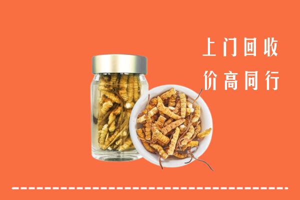收购行情：东营市广饶回收冬虫夏草