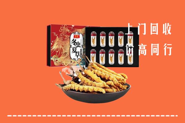 收购行情：东营市广饶回收虫草